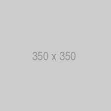 Portfolio Item 1